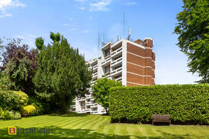 GARDEN TO BLOCK- click for photo gallery
